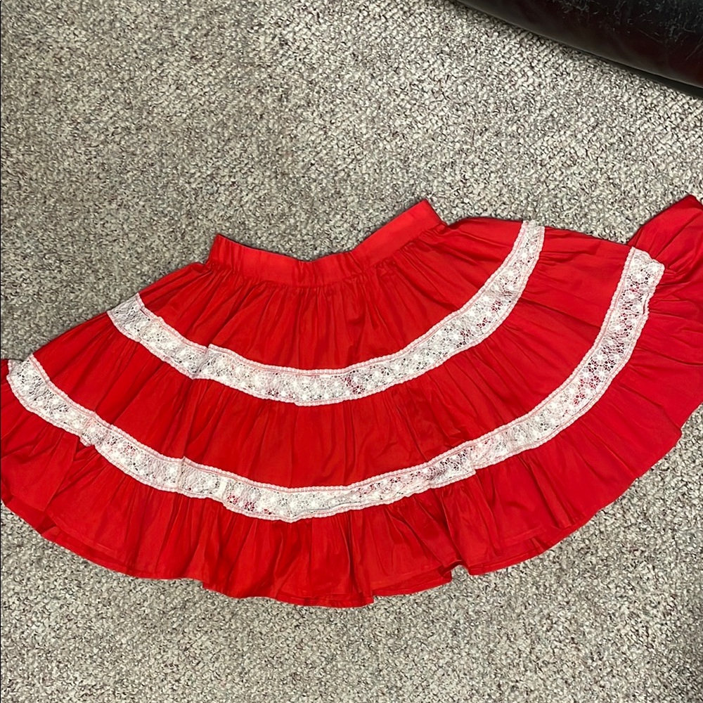 Vintage 50s sheer lace insert ultra fill swing Skirt